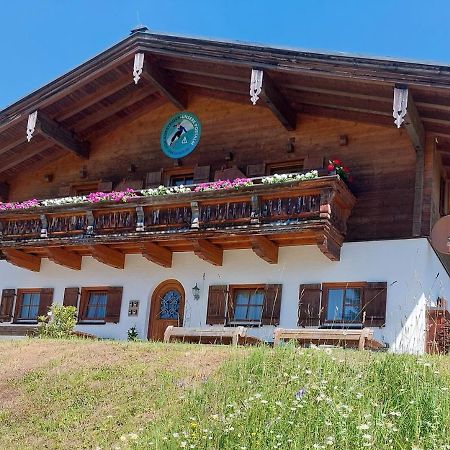 الشقق الفندقية هالينفي  Haus Obweg - Postalm المظهر الخارجي الصورة